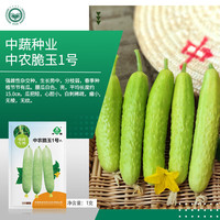 京农研中国农科院蔬菜种子脆玉黄瓜菠菜耐热大叶香菜甜瓜胡萝卜甘蓝种籽 中农脆玉1号水果黄瓜 1克