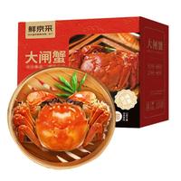 秋之蟹 大闸蟹 公蟹3.3-3.6两 母蟹2.3-2.6两 4对8只装 鲜活螃蟹 现货海鲜礼盒