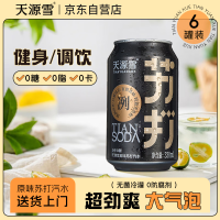 天源雪 SKYRAIN 无糖苏打水气泡水*6罐