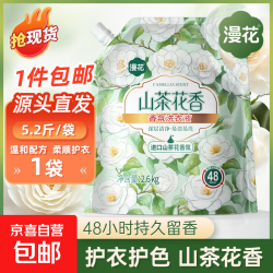 漫花 洗衣液 深层洁净持久留香 5.2斤*1袋 山茶花香