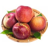 闽农语果新鲜云南昭通丑苹果现摘冰糖心苹果当季新鲜水果过节脆甜富士 5斤超值精选装【净重4.5斤丨单果60-70mm】 5斤特大果 单果85-90mm彩箱