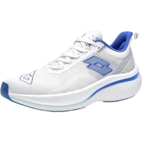 乐途（LOTTO）男鞋碳板跑步鞋男菱冻PRO秋季轻量专业马拉松减震透气运动鞋跑鞋 白蓝色【男款】 43