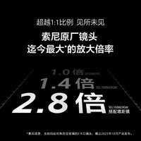 索尼（SONY）SEL100M28GM FE 100mm F2.8 Macro GM OSS 全画幅F2.8 大光圈微距G大师镜头 索尼E卡口