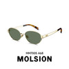 Molsion 陌森 MM7005 太阳镜全框板材男女通用