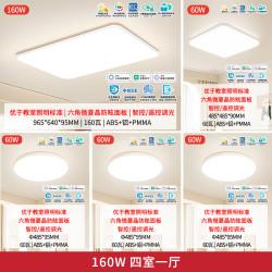 雷士 全光谱Ra98智控 160W 四室一厅套装【白雪max】包安装