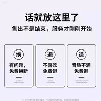  扬斯特 type-c接口 有线耳机