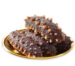 牧参人 正宗大连海参 冷蒸海参1000g 20-30头 礼盒装！
