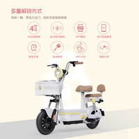 绿源 卡乐21 TDT7546Z 电动自行车 48V 20AH