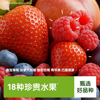 LittleFreddie/小皮 西梅果泥 婴儿辅食 85g*12袋