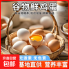 谷物鲜鸡蛋 土鸡蛋 800g 20枚