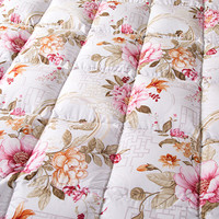  FUANNA/富安娜 95%白鹅绒 鹅绒被  【冬被】95白鹅绒国风款-海棠 203*229cm B类