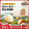 三只松鼠 夏威夷果500g/袋