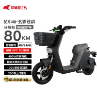 国家补贴：花小马 电动自行车M11H48v24ah星恒锂电采销实测续航对置双缸前碟刹TCS防滑NFC