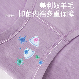 灰壳美利奴羊毛女士内裤高腰速干透气抗菌醋酸羊毛无痕三角裤