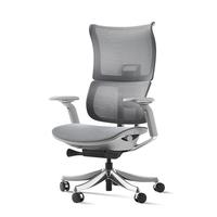 西屋(Westinghouse)【30天免费试坐】人体工学椅 免安装 大体重人工力学椅办公椅天鹅 蓝灰色 宽幅腰枕 带三折叠脚托