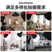 神牛 SL150III三代直播补光灯摄影打光影棚直播设备球形柔光灯罩 单灯套装-柔光箱*1 官方标配