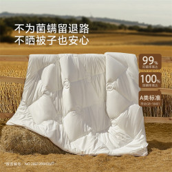 水星家纺 抗菌澳洲羊毛四季被150×210cm
