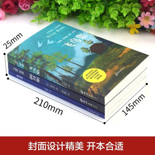 【全3册】飞鸟集+新月集+（赠）泰戈尔传 中英双语泰戈尔诗集世界经典文学名
