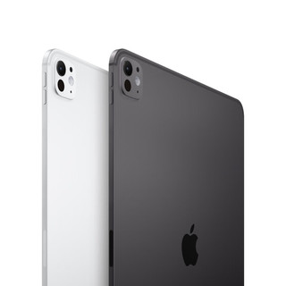 Apple 苹果 iPad Pro 2025款 11.0英寸 平板电脑（Apple M5、2TB、WLAN版、深空黑色）