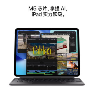 Apple 苹果 iPad Pro 2025款 11.0英寸 平板电脑（Apple M5、2TB、WLAN版、深空黑色）