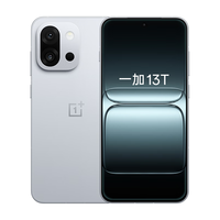 一加 13T 骁龙8至尊版 晨雾灰 16GB+256GB 手机+砂岩磁吸保护壳