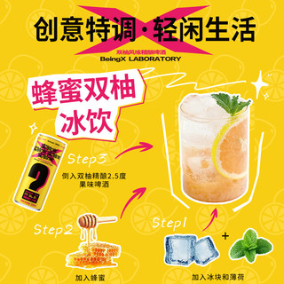 雪花啤酒 BeingX实验室双柚 8度 330ml*24罐 果味精酿啤酒