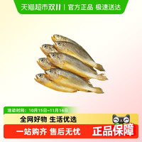 88VIP：好拾味 东海小黄鱼深海捕捞新鲜冷冻小黄花鱼生鲜海鲜水产鱼类400g