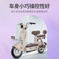 宝岛电动车 BODO 电动自行车元宇宙48V20Ah超威铅酸电池续航70km蓝牙智能解锁凝脂白