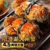 湖塘煙雨 阳澄湖大闸蟹鲜活螃蟹礼盒公4.5两母3.5两4对8只河蟹生鲜中秋礼盒 阳澄湖丨公4.5母3.5-4对