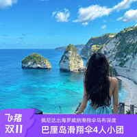 印尼巴厘岛深度纯玩 佩尼达罗威纳海豚乌布SPA