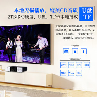 天逸TY-I30PRO（Winner）高保真数字播放器无损音乐播放器HiFi音频解码器家用网络流媒体播放器 TY-I30PRO黑
