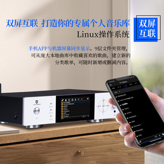 天逸TY-I30PRO（Winner）高保真数字播放器无损音乐播放器HiFi音频解码器家用网络流媒体播放器 TY-I30PRO黑