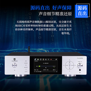 天逸TY-I30PRO（Winner）高保真数字播放器无损音乐播放器HiFi音频解码器家用网络流媒体播放器 TY-I30PRO黑