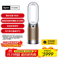 戴森 dyson HP09 空气净化风扇 白金色