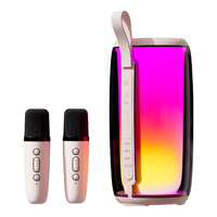 Newmine/纽曼 内置声卡 K歌麦克风音响一体式 双麦