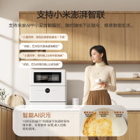 MIJIA 米家 QMDW0601M 台式洗碗机 6套
