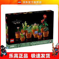 LEGO 乐高 ICONS系列 10329 迷你盆栽 拼装积木
