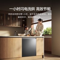 国家补贴：MIJIA 米家 小米嵌入式洗碗机18套 P20 家用洗碗机135℃热风烘干消毒销存一体