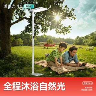 顾家立式落地路灯普瑞护眼灯儿童书桌学习阅读台灯落地灯