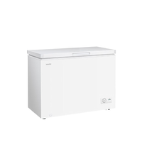 星星 BD/BC-300KE 冰柜 303L