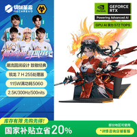 机械革命 翼龙16X 16英寸 游戏笔记本电脑(R7 H 255 32G 1T RTX5060 2.5K 300HZ 黑)