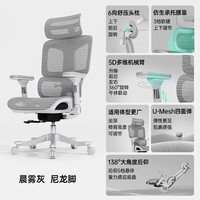 Everseat Flex6Pro 人体工学椅办公椅午休可躺椅独立腰靠头枕大坐深电脑椅 晨雾灰+尼龙脚+5D扶手