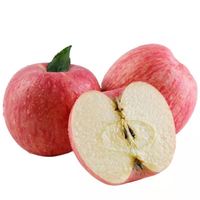 小博生鲜 正宗洛川苹果 净重8.5斤整箱发  精选果  （单果75-80mm）