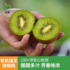 旭耕有机猕猴桃5斤装 陕西新鲜水果瑞玉猕猴桃奇异果有机礼品 瑞玉中果5斤装