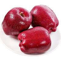 闽农语果花牛苹果粉面苹果当季鲜果水果蛇果甘肃天水花牛苹果 10斤【性价比高 | 单果80mm+】净重8.5斤 产地直发