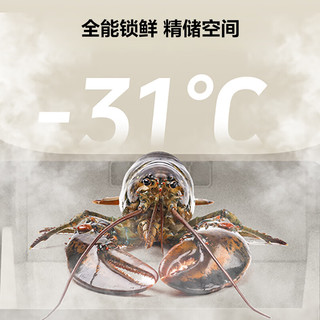 容声 BCD-506P60CZGAK 双系统十字四门 506L 一级能效冰箱