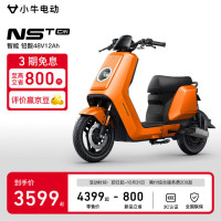 小牛电动 NST citi电动自行车基础款新国标电自通勤代步 电动自行车 到店自提