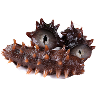 渔游记（YUYOUJI）大连辽参即食海参辽刺参礼盒深海底播海鲜水产 【13-15头/斤】9年即食海参500g