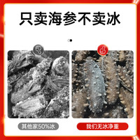 渔游记(YUYOUJI)大连辽参即食海参辽刺参礼盒深海底播海鲜水产 【35-45头/斤】7A即食海参500g