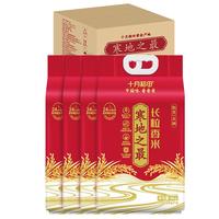 移动端、京东百亿补贴：十月稻田 当季新米 寒地之最 东北长粒香大米 8斤*4/箱装 品质甄选